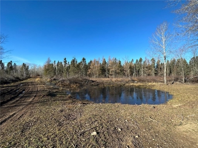 Price Reduced: Home on 80 Acres For Sale in Moose Lake MN - image 40