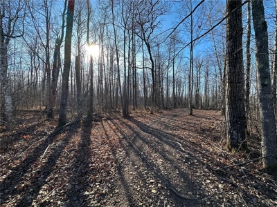 Price Reduced: Home on 80 Acres For Sale in Moose Lake MN - image 42