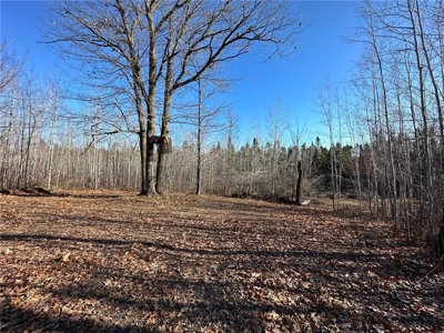 Price Reduced: Home on 80 Acres For Sale in Moose Lake MN - image 39