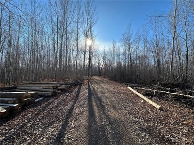 Price Reduced: Home on 80 Acres For Sale in Moose Lake MN - image 41