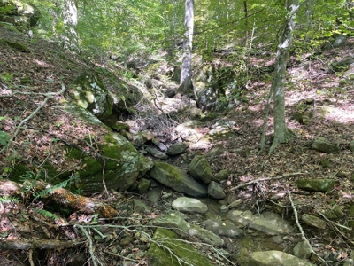 Newton County Land For Sale Bordering Ozark National Forest - image 6