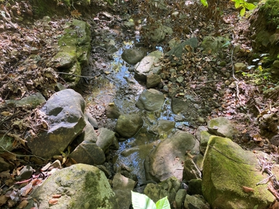 Newton County Land For Sale Bordering Ozark National Forest - image 7