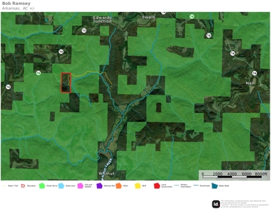 Newton County Land For Sale Bordering Ozark National Forest - image 8
