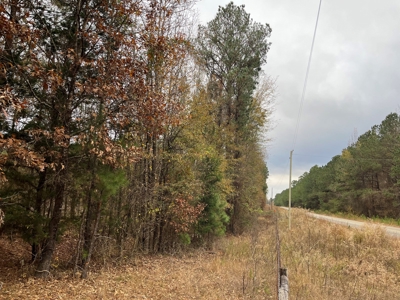 Timberland for Sale Nevada/Columbia County Line! - image 3