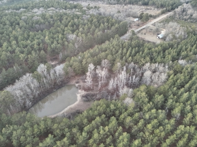 Timberland for Sale Nevada/Columbia County Line! - image 11