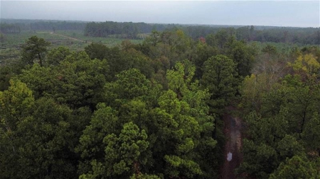 East Texas Newton County Home with land and Timber - image 1