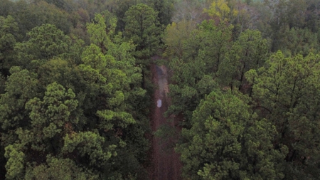 East Texas Newton County Home with land and Timber - image 7