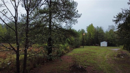 East Texas Newton County Home with land and Timber - image 13