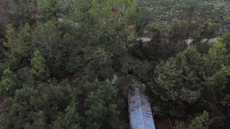 East Texas Newton County Home with land and Timber - image 12