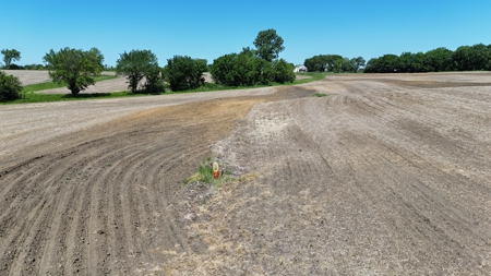83+/- Acres Ray County Missouri Row Crop Farm - image 5