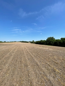 83+/- Acres Ray County Missouri Row Crop Farm - image 22
