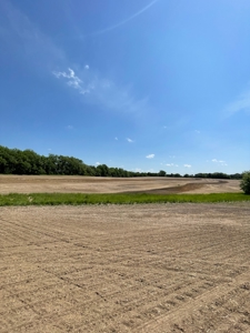 83+/- Acres Ray County Missouri Row Crop Farm - image 17