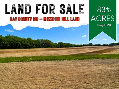83+/- Acres Ray County Missouri Row Crop Farm - image 1
