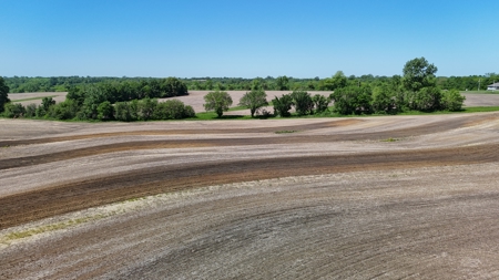 83+/- Acres Ray County Missouri Row Crop Farm - image 8