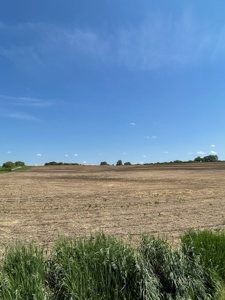 83+/- Acres Ray County Missouri Row Crop Farm - image 23