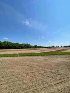 83+/- Acres Ray County Missouri Row Crop Farm - image 16