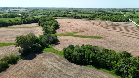 83+/- Acres Ray County Missouri Row Crop Farm - image 12