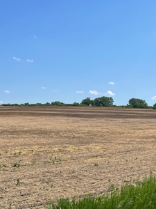 83+/- Acres Ray County Missouri Row Crop Farm - image 26