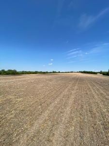 83+/- Acres Ray County Missouri Row Crop Farm - image 19