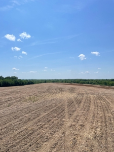 83+/- Acres Ray County Missouri Row Crop Farm - image 20