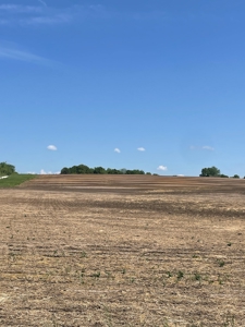 83+/- Acres Ray County Missouri Row Crop Farm - image 27