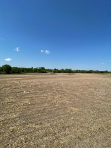 83+/- Acres Ray County Missouri Row Crop Farm - image 21