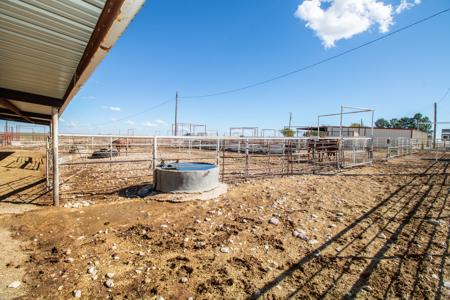 Ranch for Sale in Lea County, NM - image 40