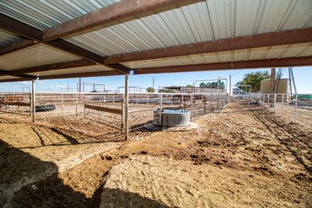 Ranch for Sale in Lea County, NM - image 41