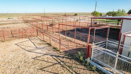 Ranch for Sale in Lea County, NM - image 6