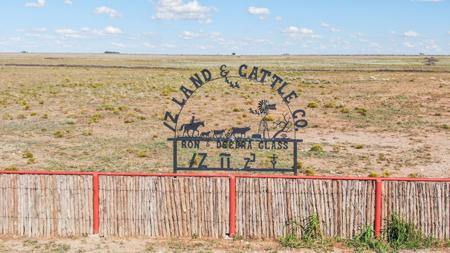 Ranch for Sale in Lea County, NM - image 30