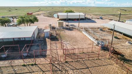 Ranch for Sale in Lea County, NM - image 5