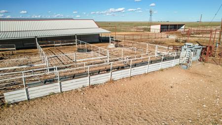 Ranch for Sale in Lea County, NM - image 7