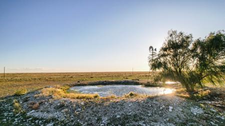 Ranch for Sale in Lea County, NM - image 22