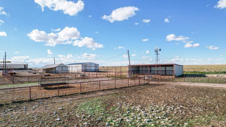 Ranch for Sale in Lea County, NM - image 3