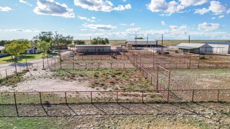 Ranch for Sale in Lea County, NM - image 4