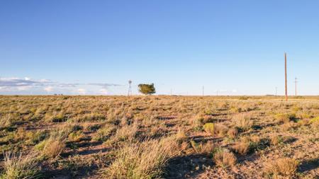 Ranch for Sale in Lea County, NM - image 21