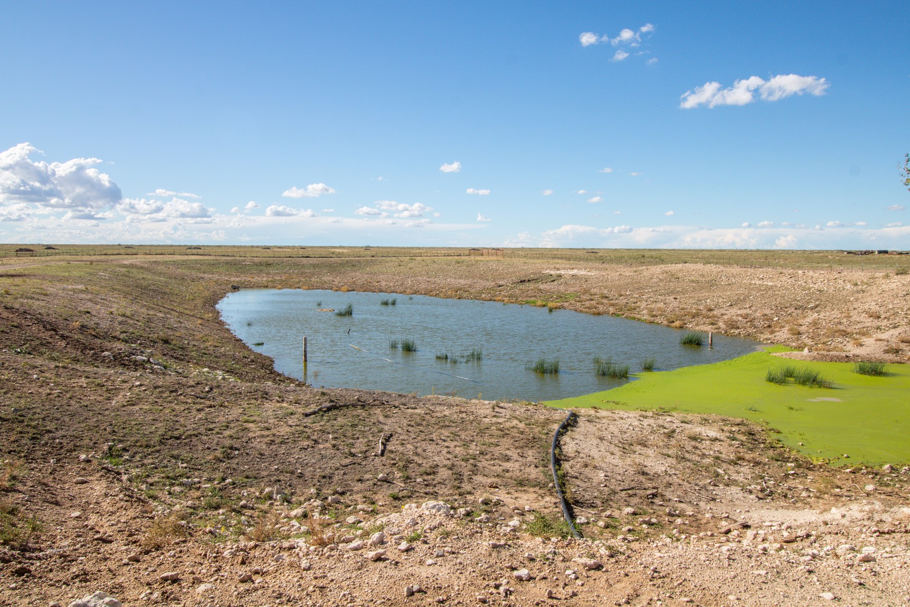 Ranch for Sale in Lea County, NM - image 49