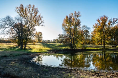East TX Ranch Land & Home for Sale Overton TX in Rusk County - image 41