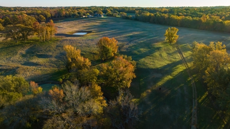 East TX Ranch Land & Home for Sale Overton TX in Rusk County - image 39