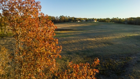 East TX Ranch Land & Home for Sale Overton TX in Rusk County - image 33