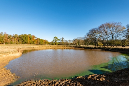 East TX Ranch Land & Home for Sale Overton TX in Rusk County - image 43