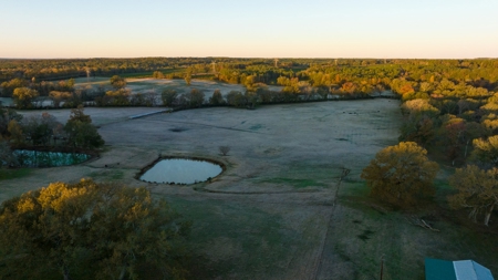 East TX Ranch Land & Home for Sale Overton TX in Rusk County - image 25