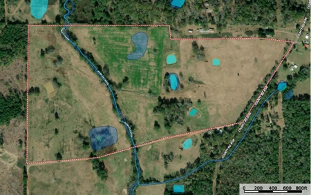 East TX Ranch Land & Home for Sale Overton TX in Rusk County - image 46
