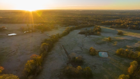 East TX Ranch Land & Home for Sale Overton TX in Rusk County - image 26
