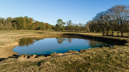East TX Ranch Land & Home for Sale Overton TX in Rusk County - image 40
