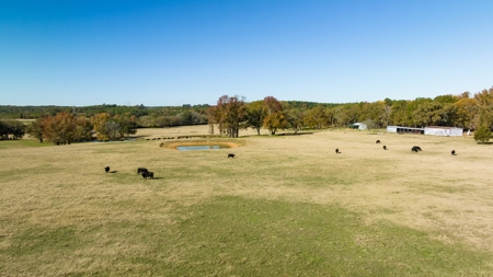 East TX Ranch Land & Home for Sale Overton TX in Rusk County - image 20