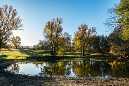 East TX Ranch Land & Home for Sale Overton TX in Rusk County - image 42