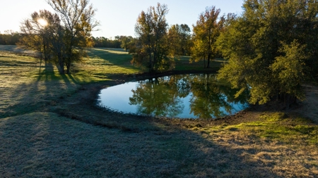 East TX Ranch Land & Home for Sale Overton TX in Rusk County - image 36