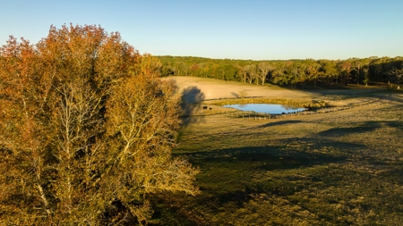 East TX Ranch Land & Home for Sale Overton TX in Rusk County - image 34