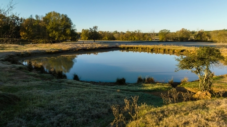 East TX Ranch Land & Home for Sale Overton TX in Rusk County - image 35